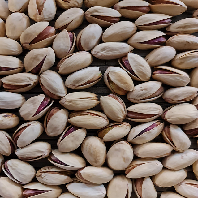 ahmadaqaee640 الفستق